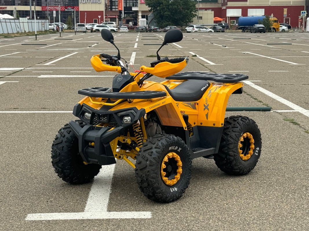 MotoLand ATV 125 WILD Х I 2024 б у Жёлтый 165000