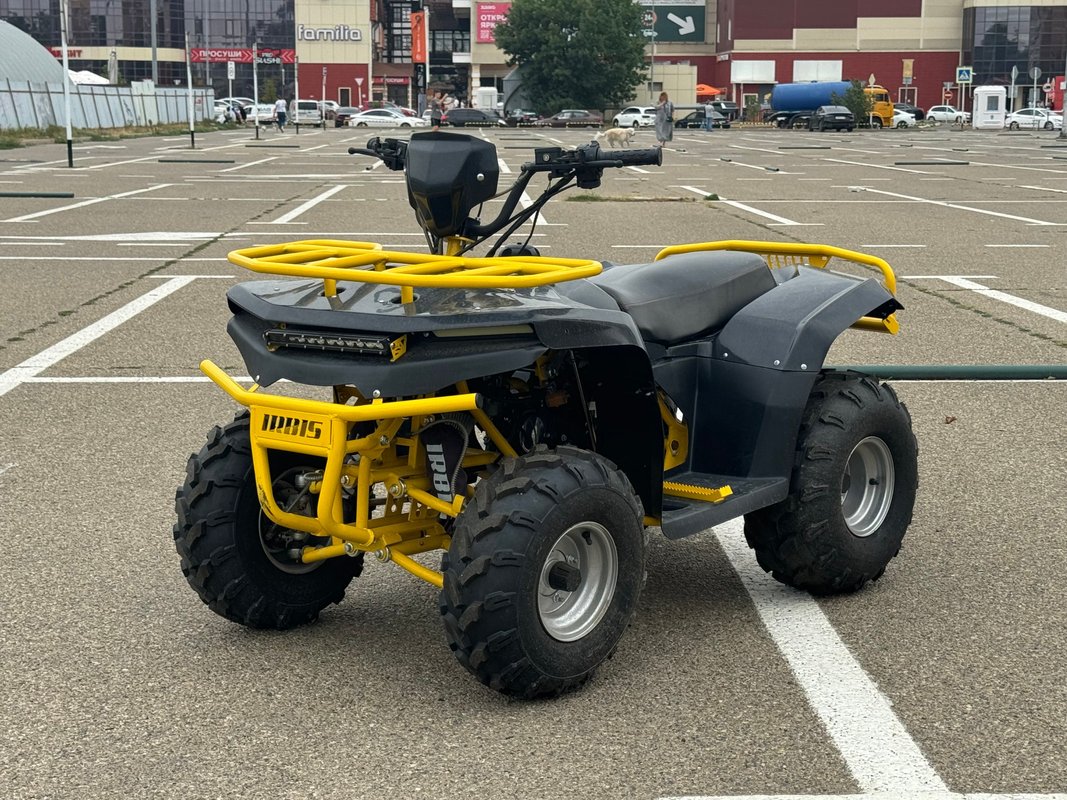 Irbis ATV 125 I 2024 б у Чёрный 169000