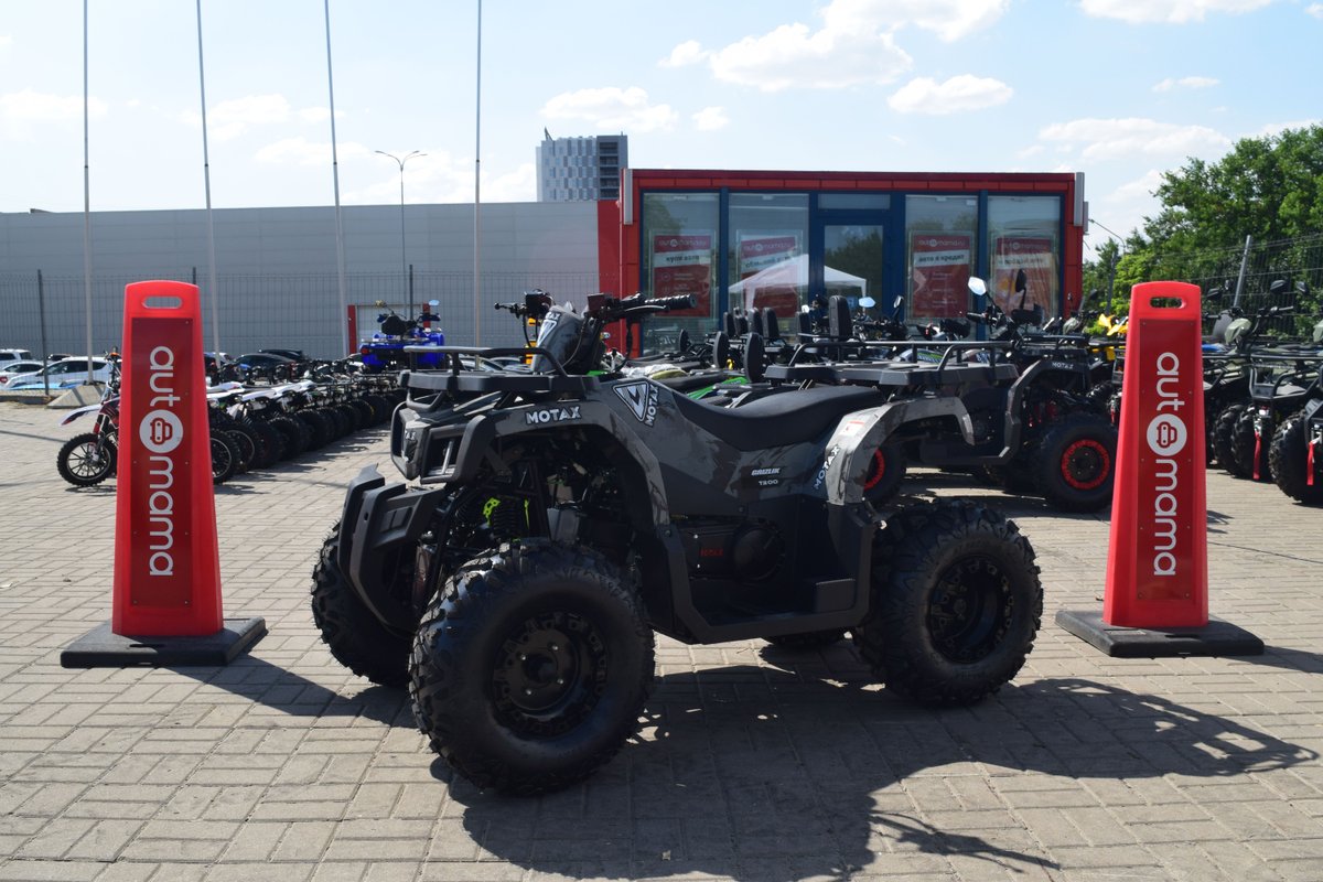 MOTAX ATV Grizlik T200 I 2024 б у Серый 225990