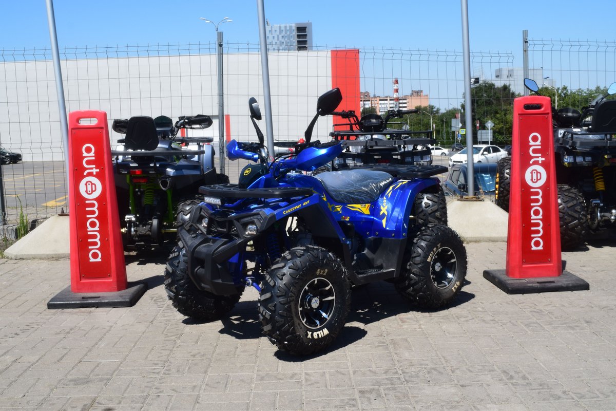 MotoLand ATV 125 WILD Х PRO  I 2024 б у Синий 175000
