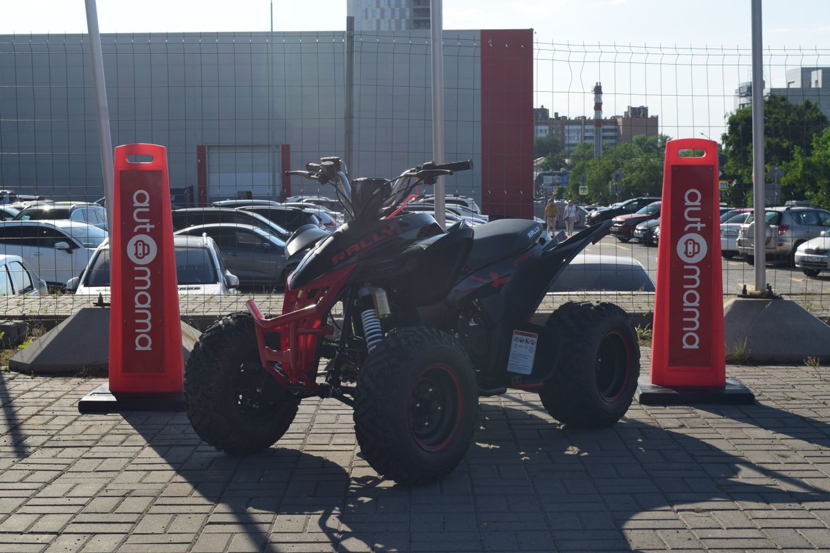 MotoLand ATV 250 Rally I 2024 б у Чёрный 230000