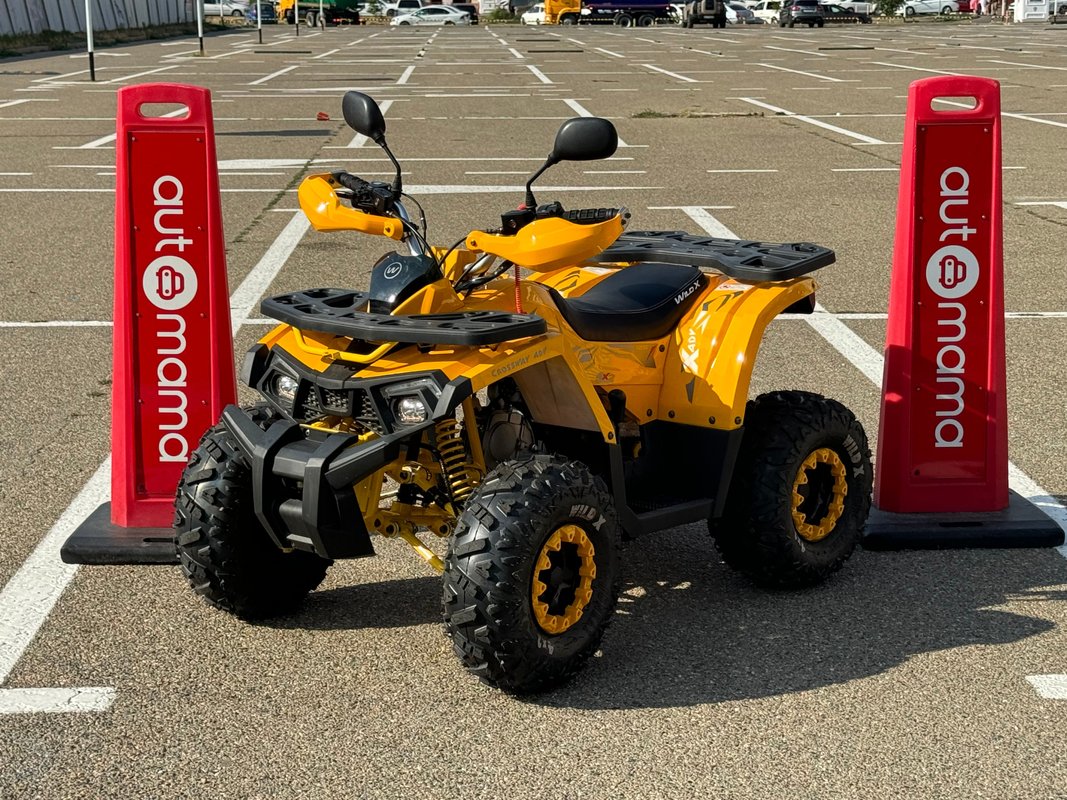 MotoLand ATV 125 WILD Х I 2024 б у Жёлтый 165000